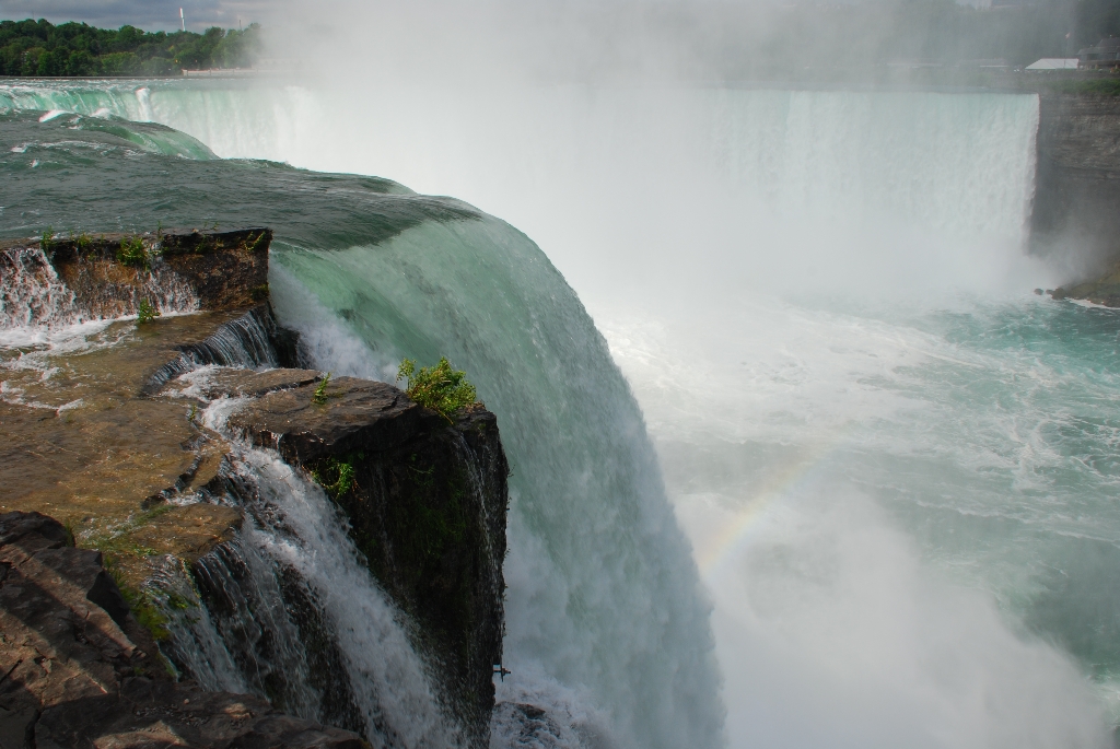 DSC_1885.JPG
